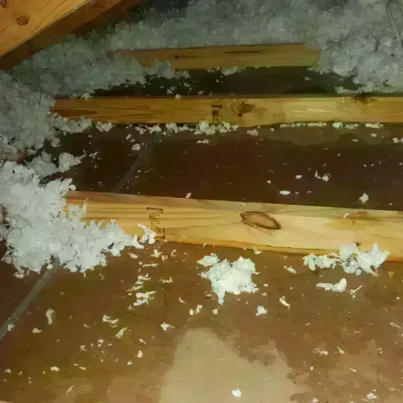 Attic Water Damage in Tioga County, PA